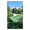 SnapCrab_NoName_2018-10-1_15-4-4_No-00